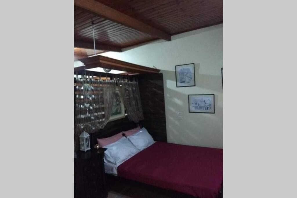 Green Hill Studio Corfu Town Ngoại thất bức ảnh